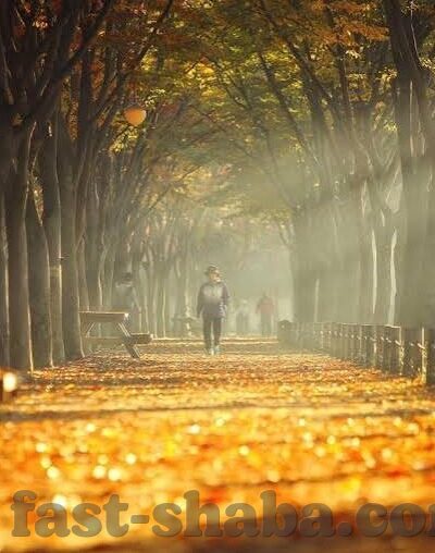 百色洪兴抢劫澳门赌场-百色洪兴抢劫澳门赌场，震惊世界的赌场劫案