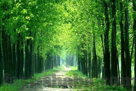 超级炸金花2016-超级炸金花2016,年度娱乐盛宴的璀璨瞬间
