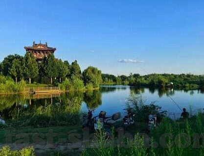 体彩足球实时比分直播-体彩足球实时比分直播,一场跨越时空的足球盛宴