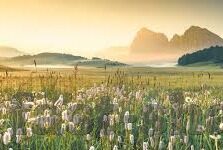 万人炸金花下载免费-万人共赏,炸金花,一场免费下载的乐趣盛宴
